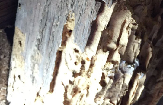 Holzschutz